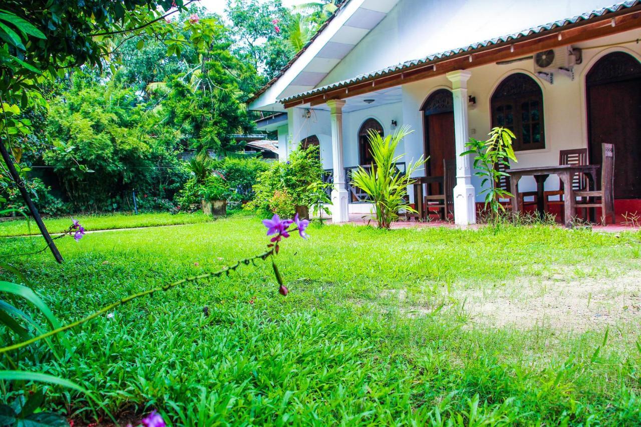 Lotus Villa Mirissa Zewnętrze zdjęcie